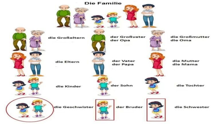 أفراد العائلة وشجرة العائلة مفردات باللغة الألمانية