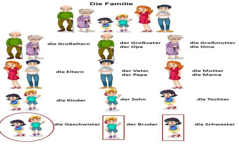 أفراد العائلة وشجرة العائلة مفردات باللغة الألمانية