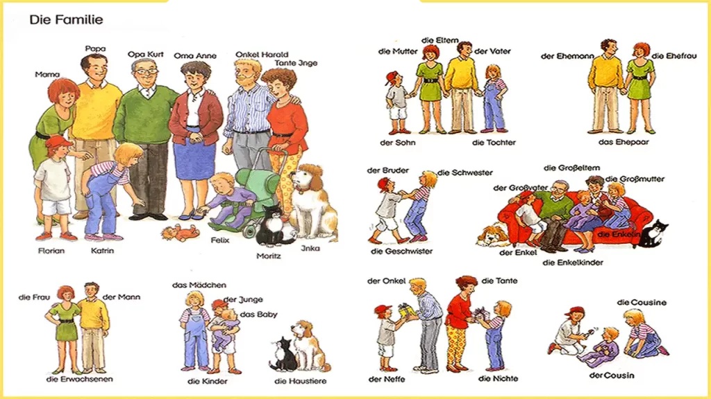 أمثلة عن أفراد العائلة وشجرة العائلة باللغة الألمانية