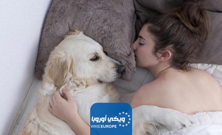 مشاهدة فضيحة بنات الخميسات