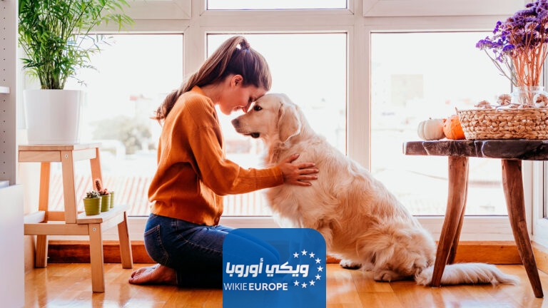مقطع فضيحة الخميسات