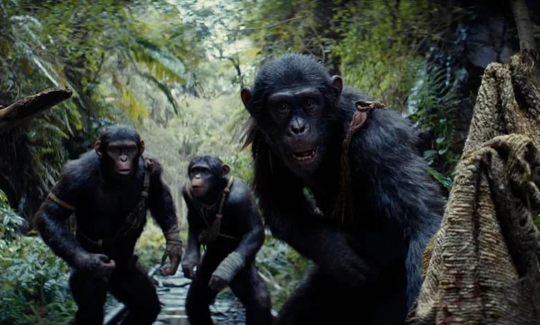 “ايجي بست” مشاهدة فيلم مملكة كوكب القردة Kingdom of the Planet of the Apes 2024 مترجم كامل بجودة عالية Hd ماي سيما