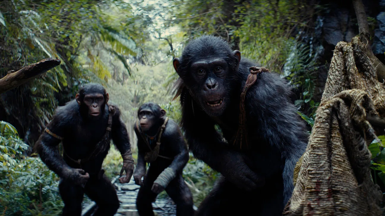 "ايجي بست" مشاهدة فيلم مملكة كوكب القردة Kingdom of the Planet of the Apes 2024 مترجم كامل بجودة عالية Hd ماي سيما